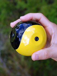 Squito prototype camera ball, US Patent 8237787